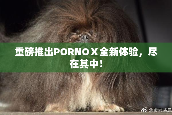重磅推出PORNOⅩ全新体验，尽在其中！