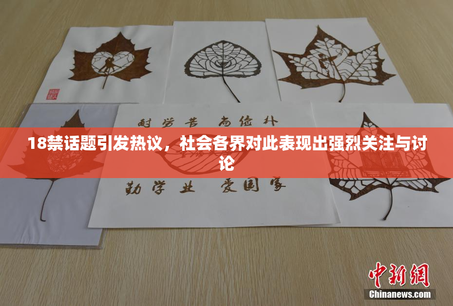 18禁话题引发热议，社会各界对此表现出强烈关注与讨论
