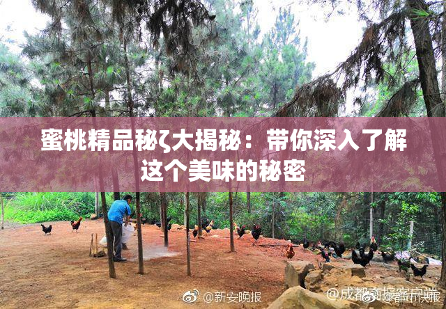 蜜桃精品秘ζ大揭秘：带你深入了解这个美味的秘密