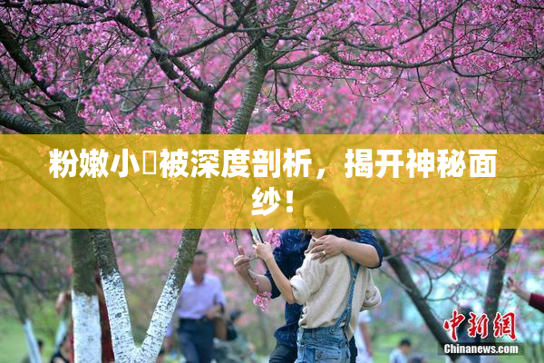 粉嫩小泬被深度剖析，揭开神秘面纱！