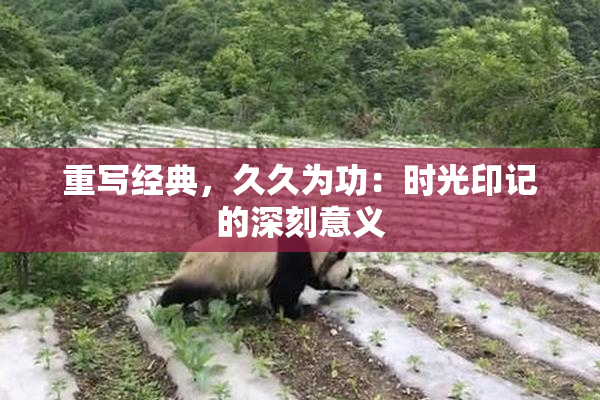 重写经典，久久为功：时光印记的深刻意义