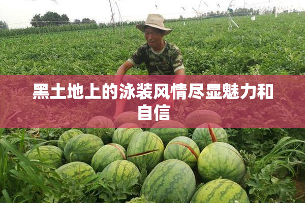 黑土地上的泳装风情尽显魅力和自信