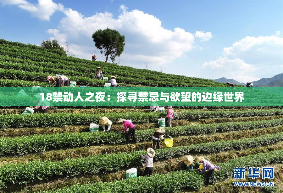 18禁动人之夜：探寻禁忌与欲望的边缘世界