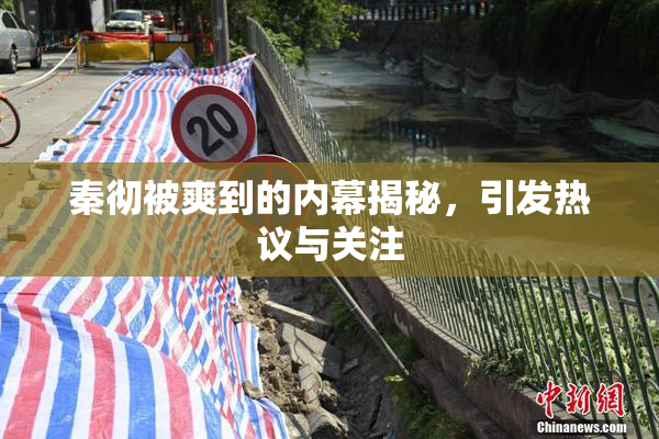 秦彻被爽到的内幕揭秘，引发热议与关注