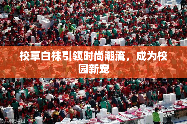 校草白袜引领时尚潮流，成为校园新宠