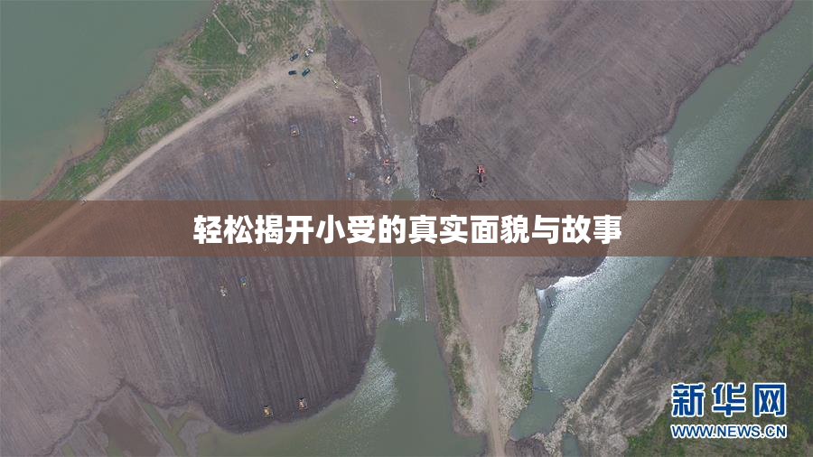 轻松揭开小受的真实面貌与故事