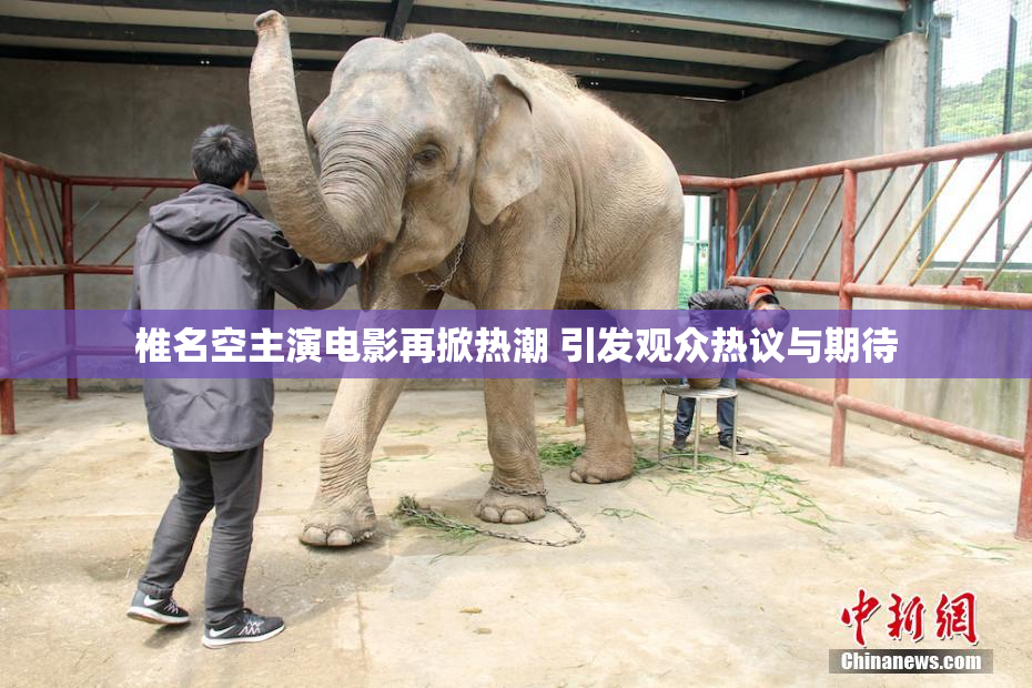 椎名空主演电影再掀热潮 引发观众热议与期待