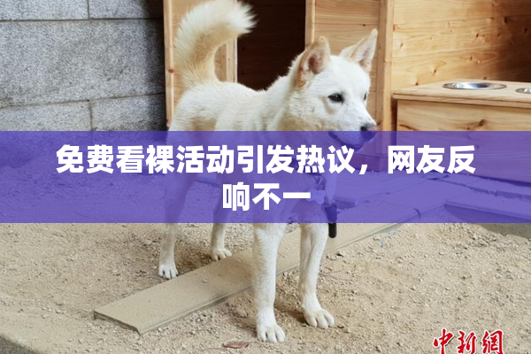 免费看裸活动引发热议，网友反响不一