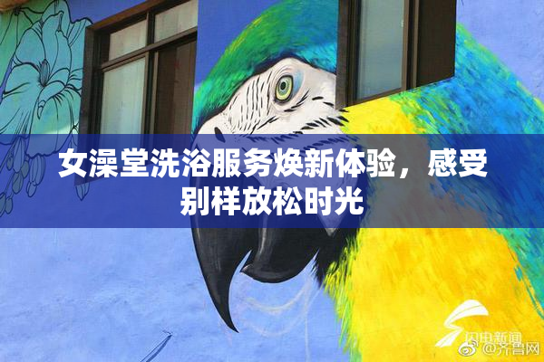 女澡堂洗浴服务焕新体验，感受别样放松时光