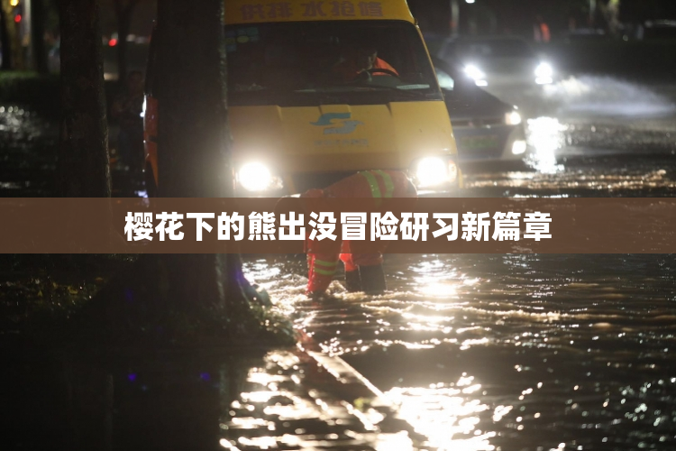 樱花下的熊出没冒险研习新篇章