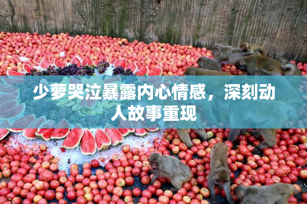 少萝哭泣暴露内心情感，深刻动人故事重现