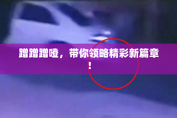 蹭蹭蹭噔，带你领略精彩新篇章！