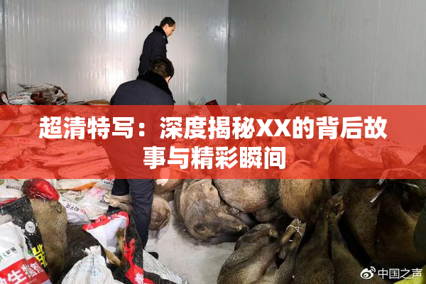 超清特写：深度揭秘XX的背后故事与精彩瞬间
