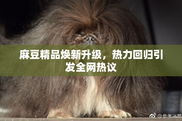 麻豆精品焕新升级，热力回归引发全网热议