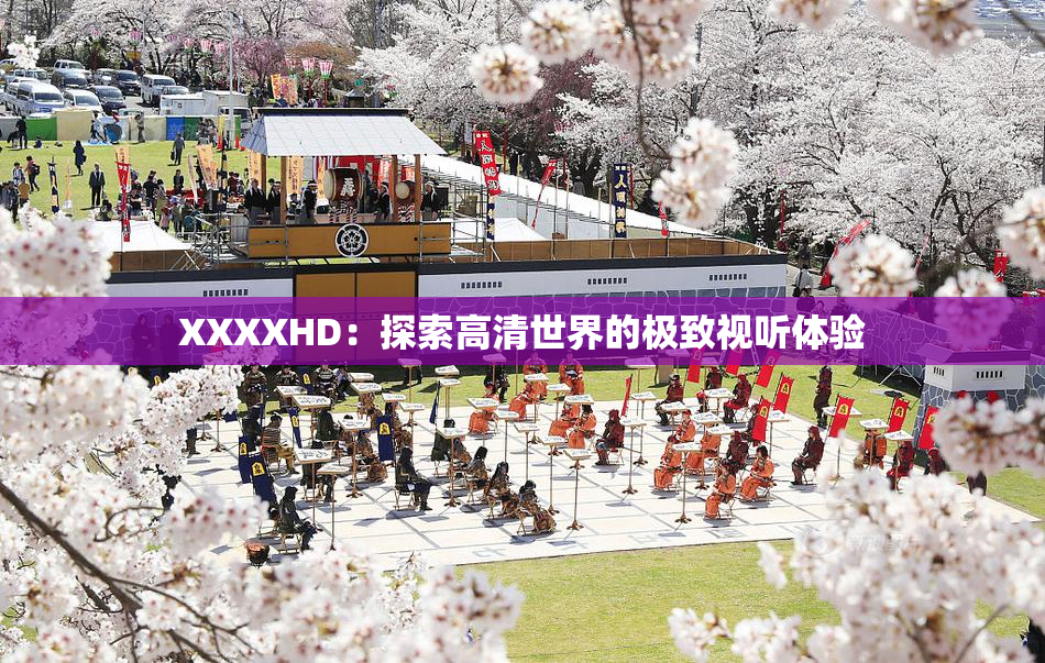 XXXXHD：探索高清世界的极致视听体验