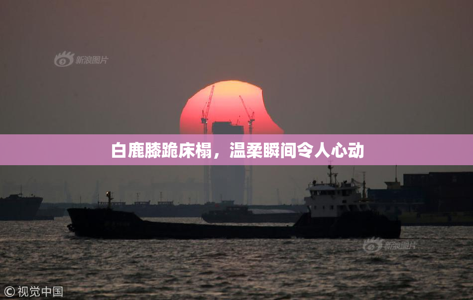 白鹿膝跪床榻，温柔瞬间令人心动