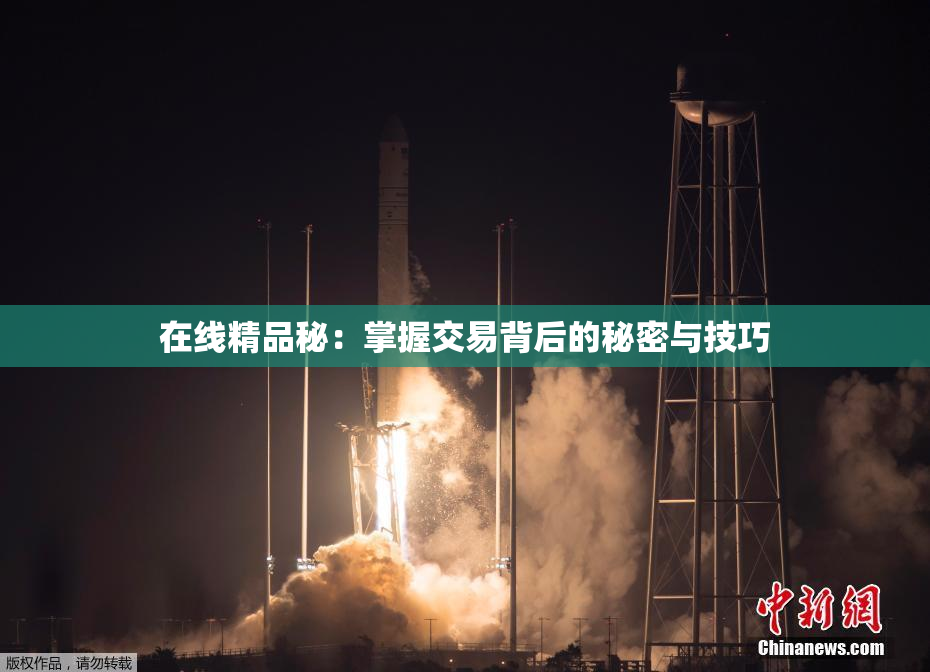 在线精品秘：掌握交易背后的秘密与技巧