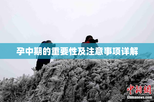 孕中期的重要性及注意事项详解