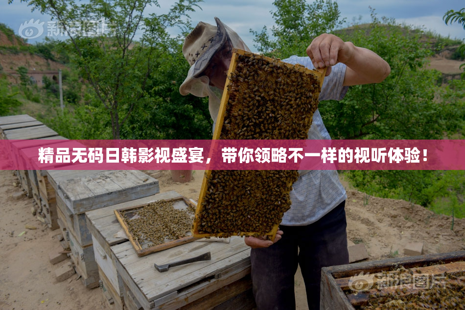 精品无码日韩影视盛宴，带你领略不一样的视听体验！