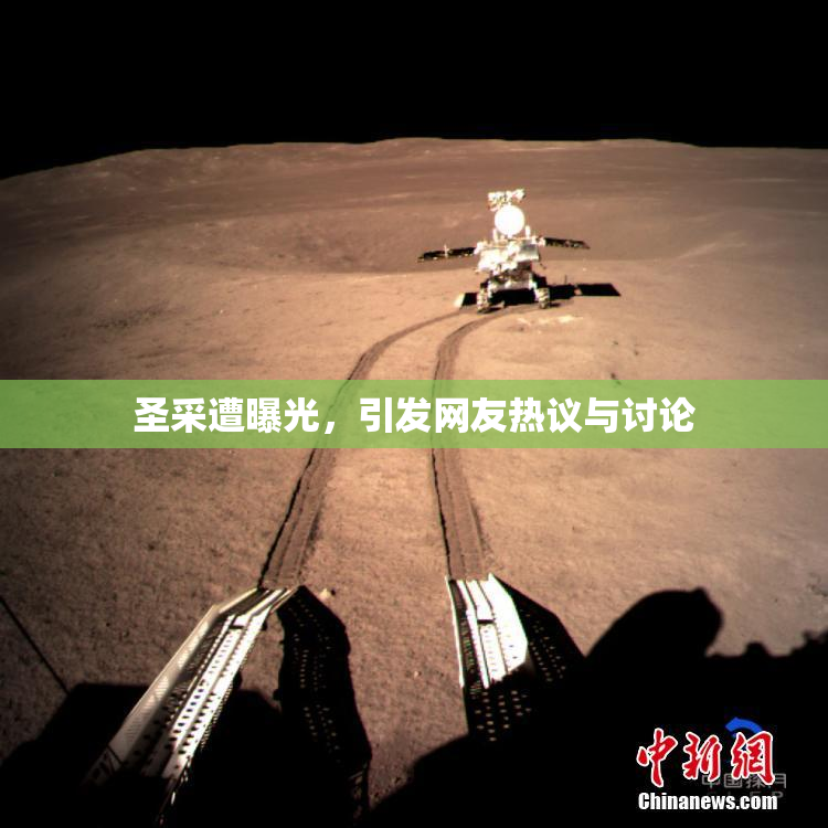 圣采遭曝光，引发网友热议与讨论