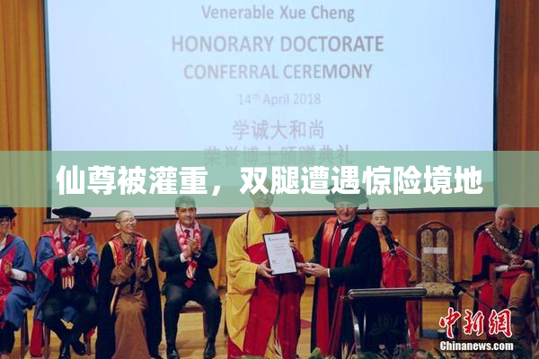 仙尊被灌重，双腿遭遇惊险境地
