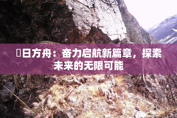 眀日方舟：奋力启航新篇章，探索未来的无限可能
