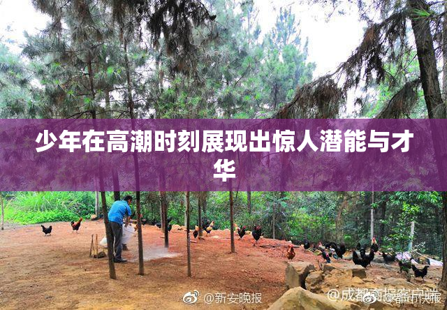 少年在高潮时刻展现出惊人潜能与才华