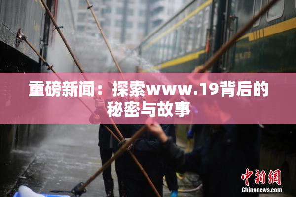 重磅新闻：探索www.19背后的秘密与故事