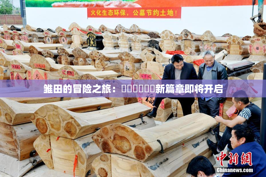 雏田的冒险之旅：❌‌❌‌❌‌新篇章即将开启