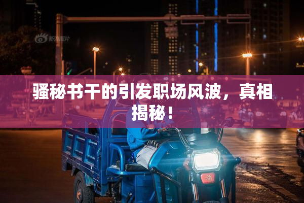 骚秘书干的引发职场风波，真相揭秘！