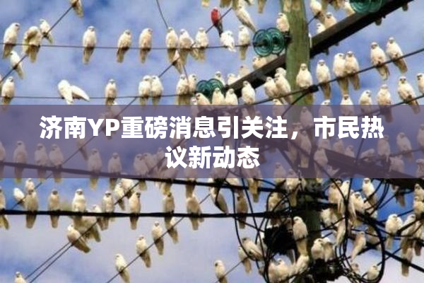 济南YP重磅消息引关注，市民热议新动态