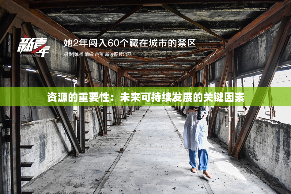 资源的重要性：未来可持续发展的关键因素