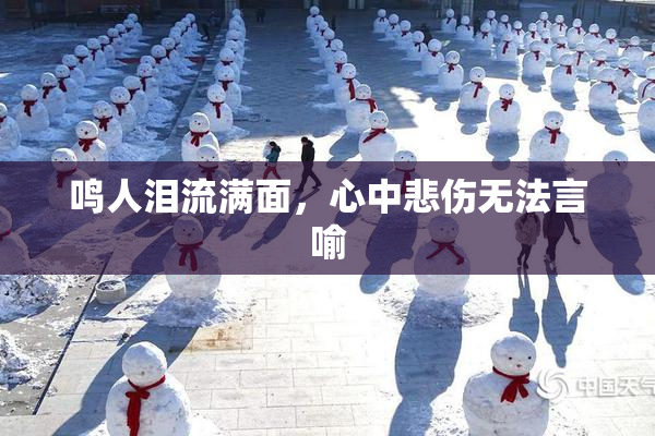 鸣人泪流满面，心中悲伤无法言喻