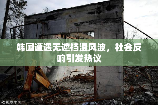 韩国遭遇无遮挡漫风波，社会反响引发热议
