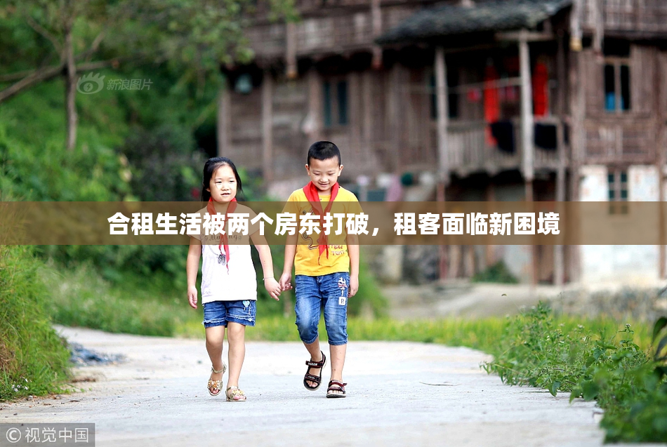 合租生活被两个房东打破，租客面临新困境