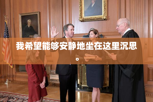 我希望能够安静地坐在这里沉思。