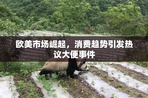 欧美市场崛起，消费趋势引发热议大便事件