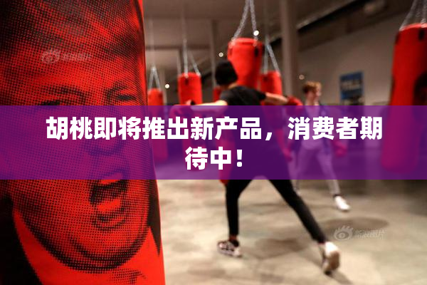 胡桃即将推出新产品，消费者期待中！