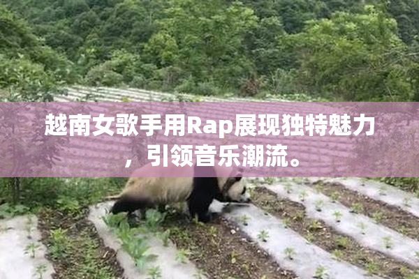 越南女歌手用Rap展现独特魅力，引领音乐潮流。