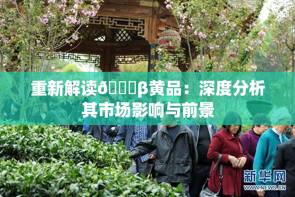 重新解读🔞β黄品：深度分析其市场影响与前景