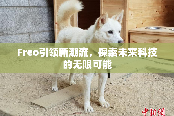 Freo引领新潮流，探索未来科技的无限可能