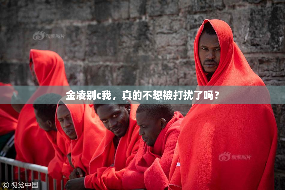 金凌别c我，真的不想被打扰了吗？