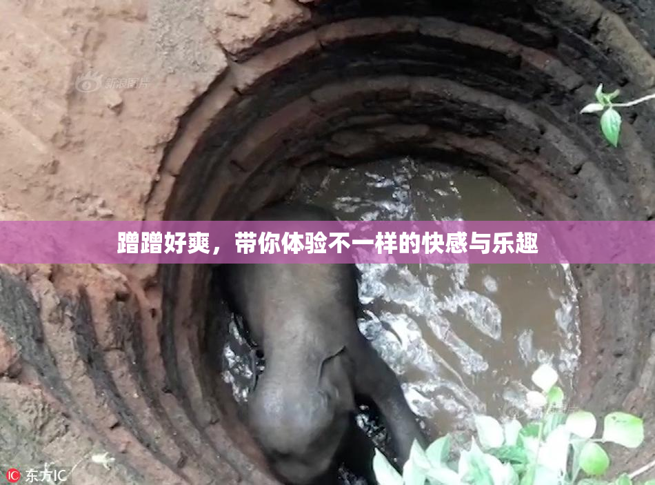 蹭蹭好爽，带你体验不一样的快感与乐趣