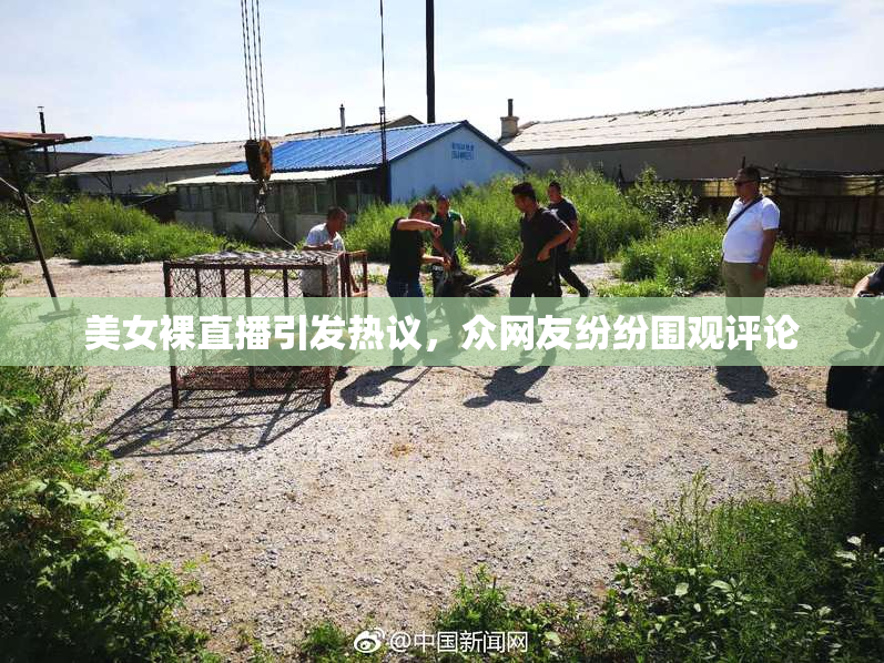 美女裸直播引发热议，众网友纷纷围观评论