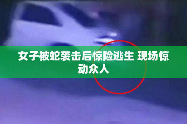 女子被蛇袭击后惊险逃生 现场惊动众人