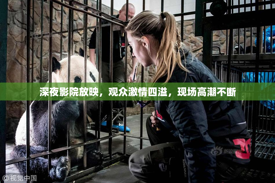 深夜影院放映，观众激情四溢，现场高潮不断