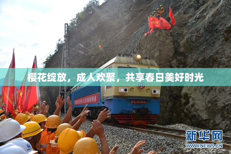 樱花绽放，成人欢聚，共享春日美好时光