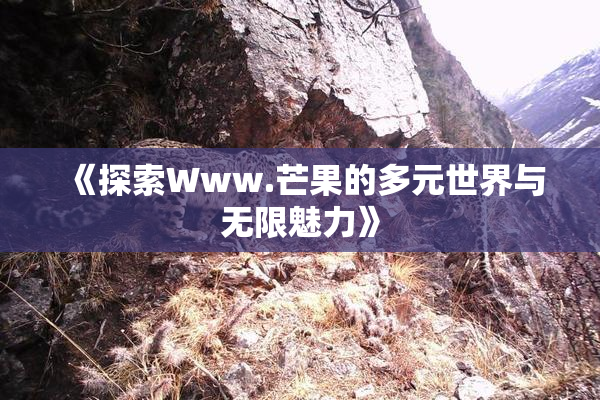 《探索Www.芒果的多元世界与无限魅力》