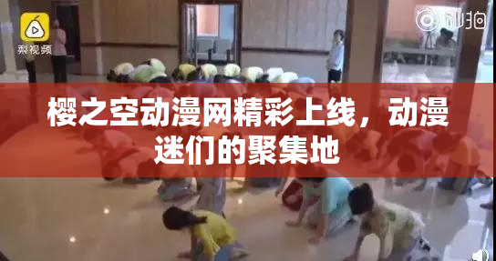 樱之空动漫网精彩上线，动漫迷们的聚集地