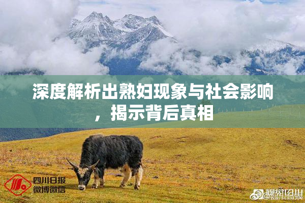 深度解析出熟妇现象与社会影响，揭示背后真相